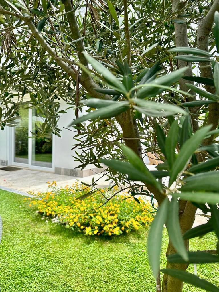 Villa Casa Mila White Marina di Cerveteri Exterior foto